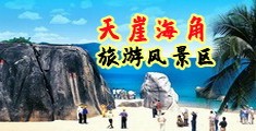 爱啪网黄色海南三亚-天崖海角旅游风景区