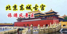 骚货孕妇中国北京-东城古宫旅游风景区